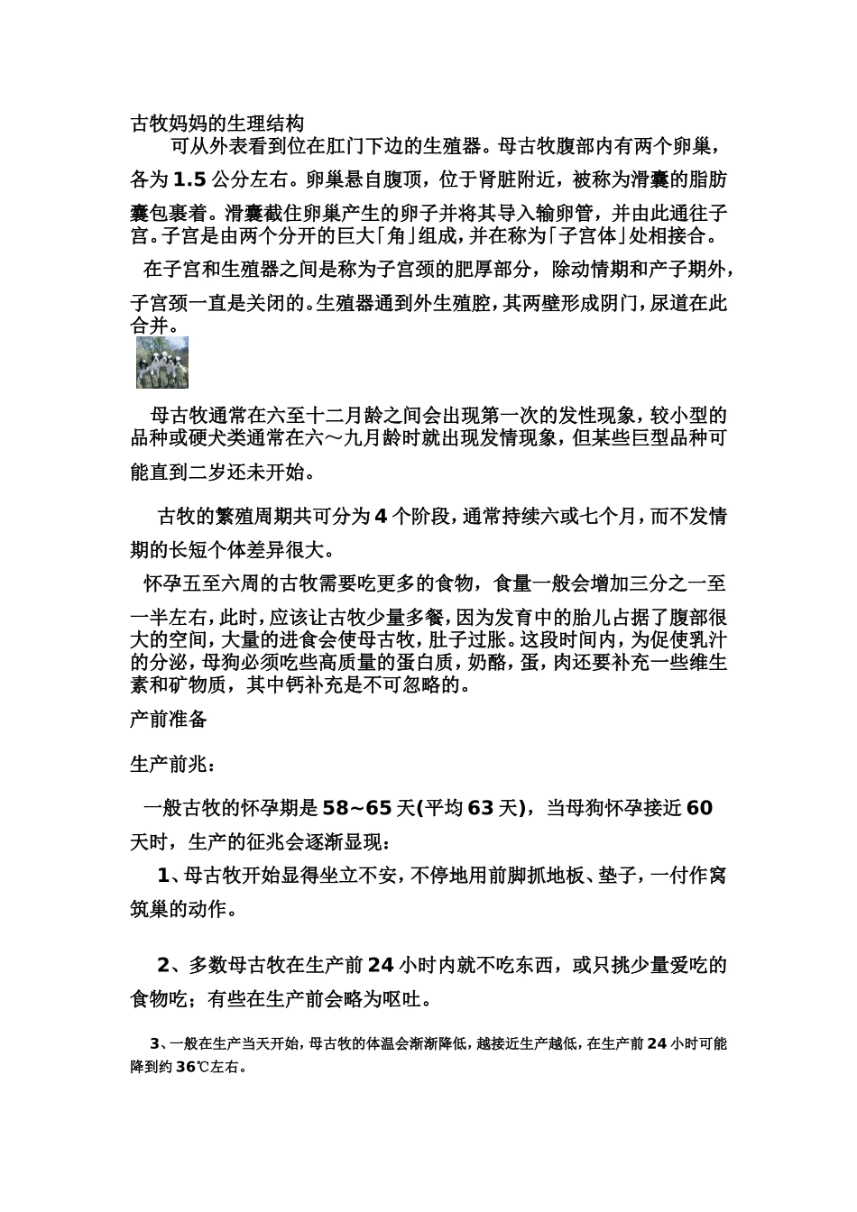 古牧生产护理知识_第1页