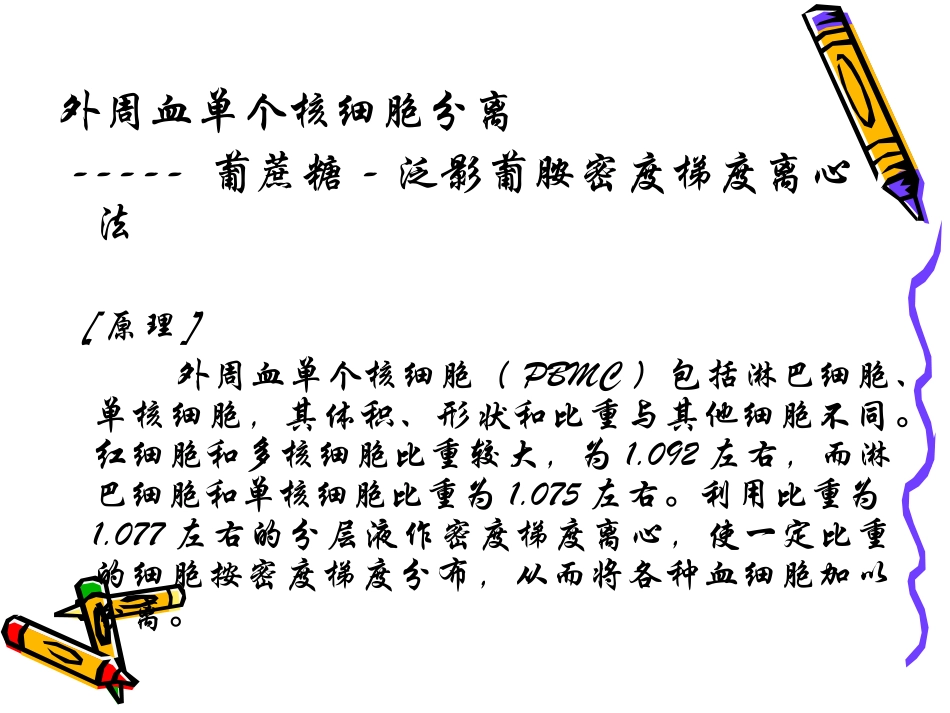 间接免疫荧光法_第2页