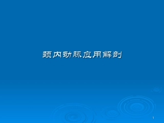 颈内动脉应用解剖[1]