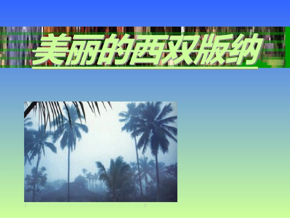 美丽的西双版纳_第1页