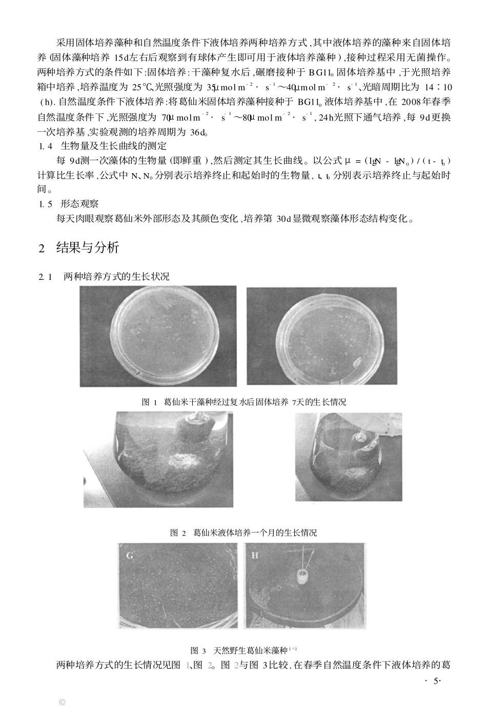 葛仙米的培养_第2页