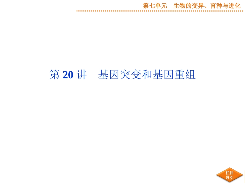 2015届《优化方案》高考生物（苏教版）一轮配套课件：第20讲基因突变和基因重组_第2页