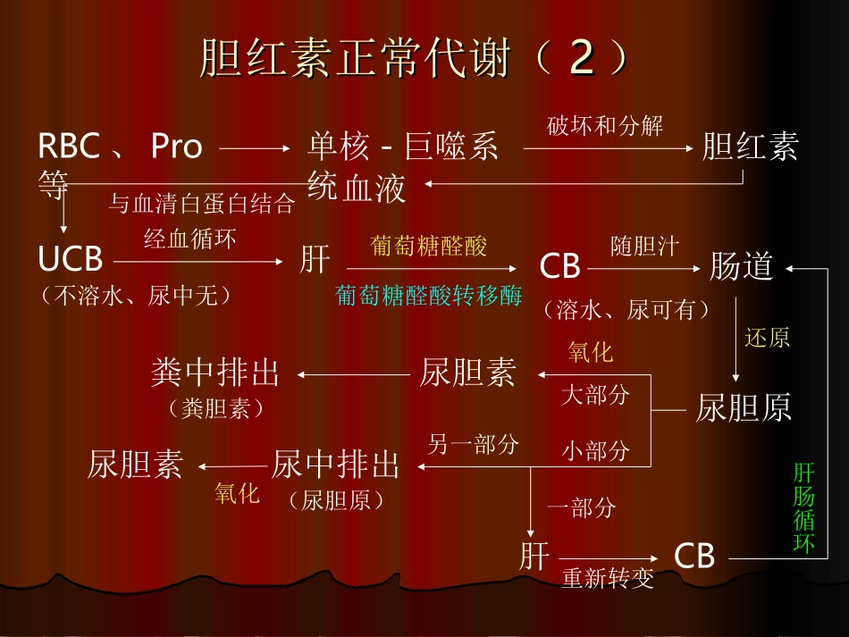 基础-肝肠循环_第2页