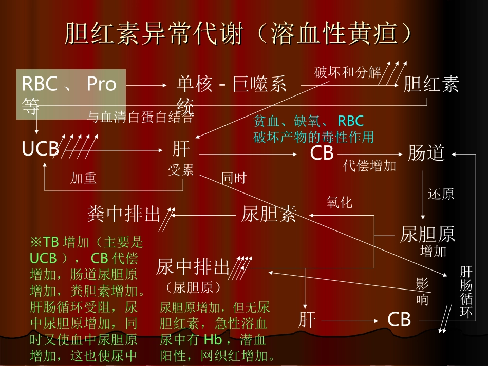 基础-肝肠循环_第3页
