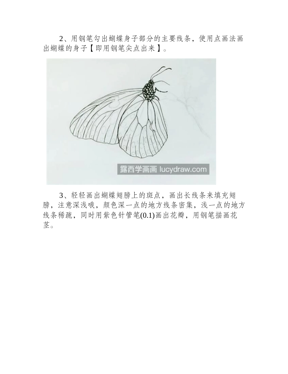 美丽的蝴蝶怎么画_简单的钢笔画法是什么_钢笔画教程_第2页