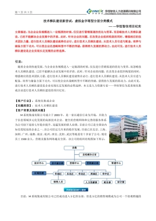 技术梯队建设新尝试：虚拟金字塔型分层分类模式