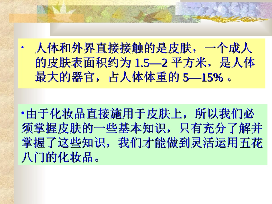 化妆前皮肤基础知识_第2页