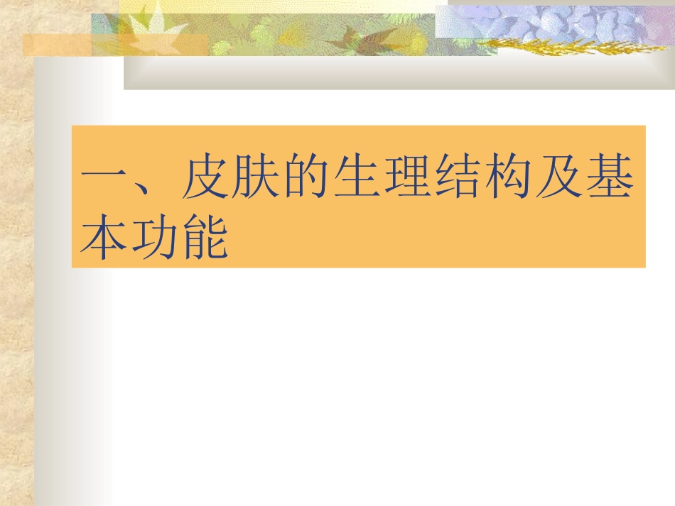 化妆前皮肤基础知识_第3页