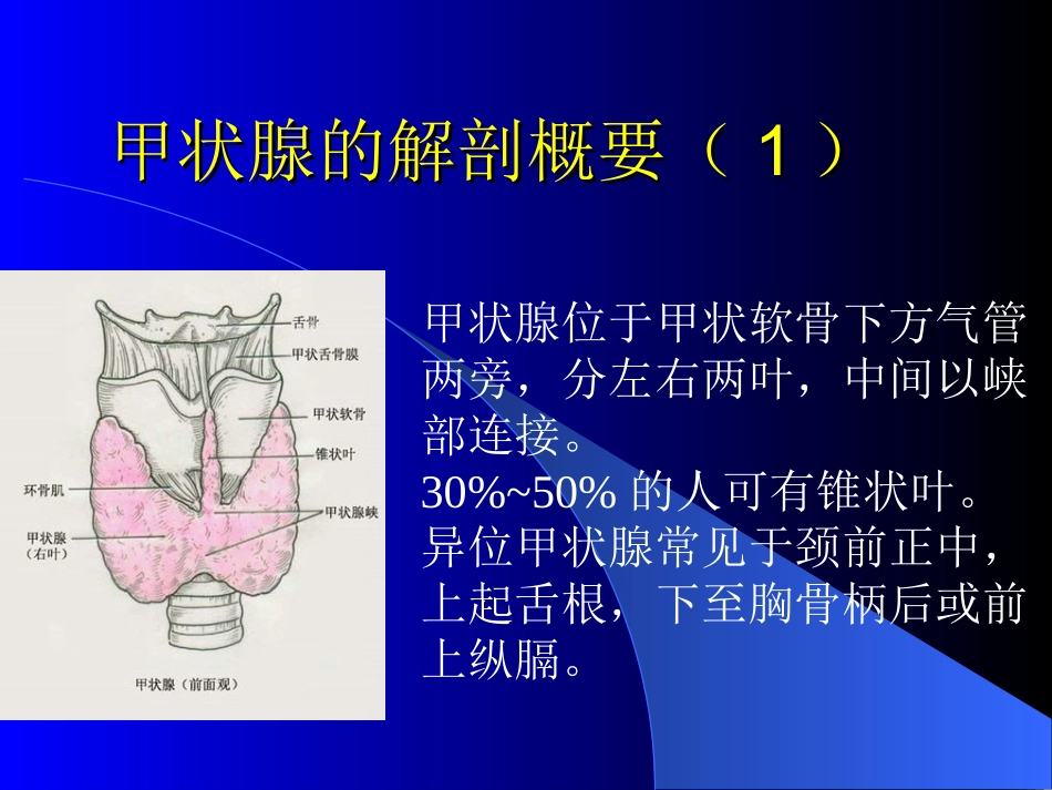 规范甲状腺检查_第3页