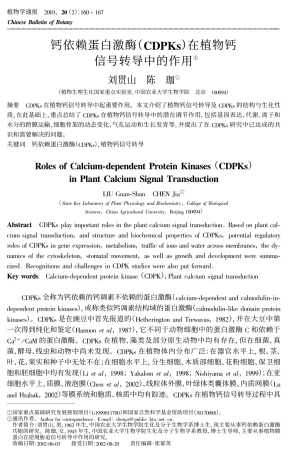 钙依赖蛋白激酶(CDPKs)在植物钙信号转导中的作用