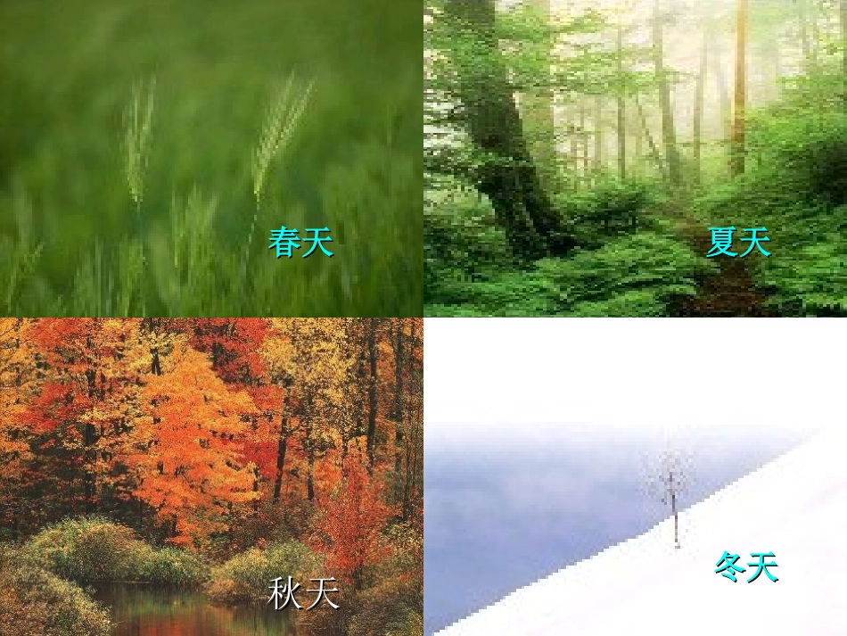 大自然的语言演示文稿_第3页