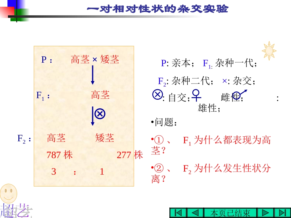 基因的分离规律——_第2页