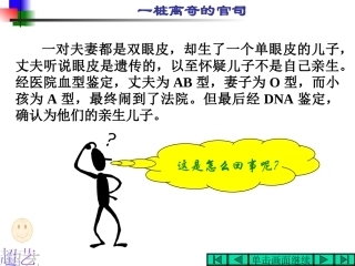 基因的分离规律——