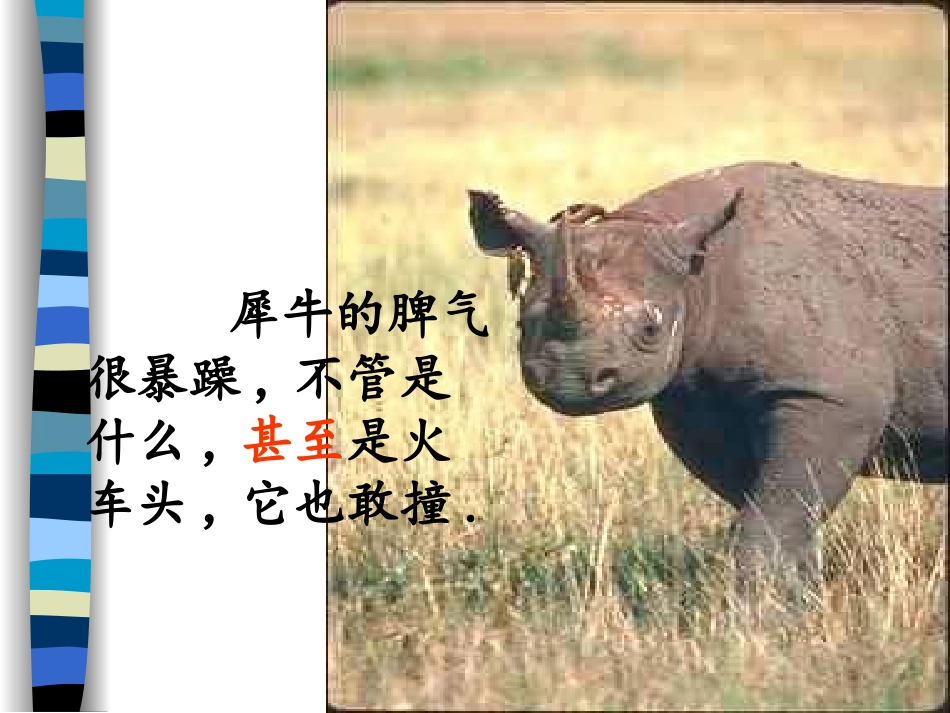 小狮子爱尔莎_第3页