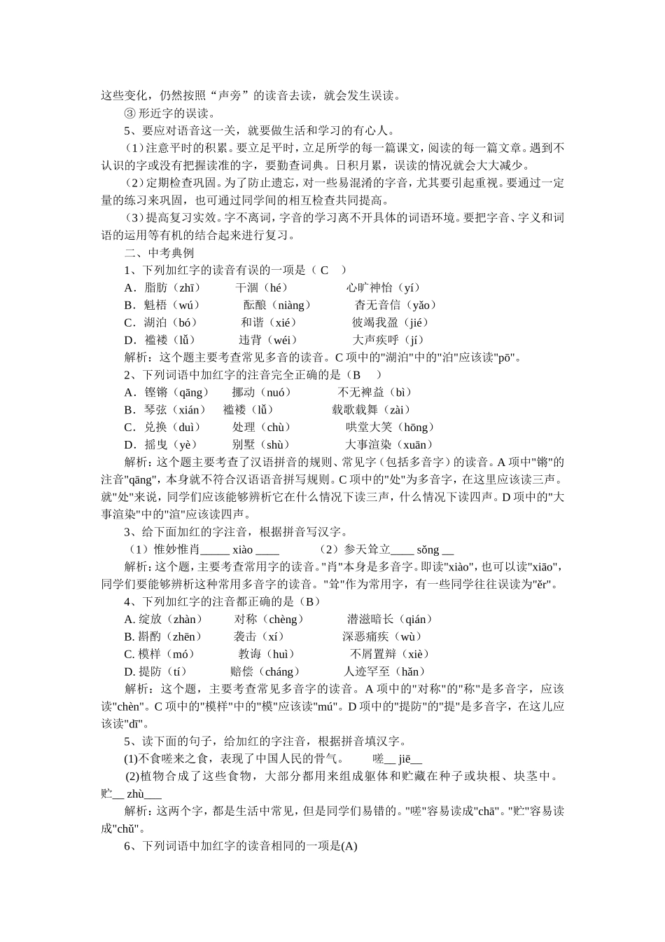 中考语文总复习-语音，汉字_第2页
