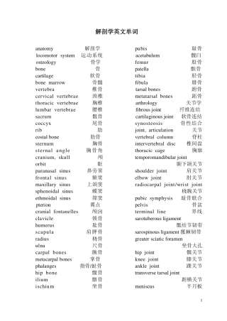 解剖学英文名词