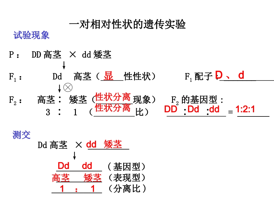 高中生物必修二、精要知识点背默列单_第3页