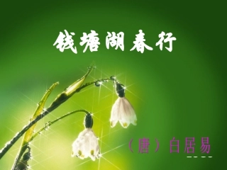 钱塘湖春行课件pot