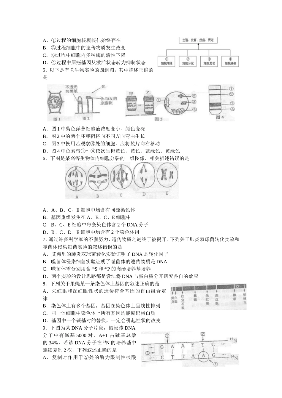 江苏省南京市2011届高三第一次模拟考试 生物_第2页