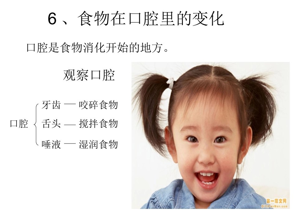 食物在口腔里的变化四上_第1页