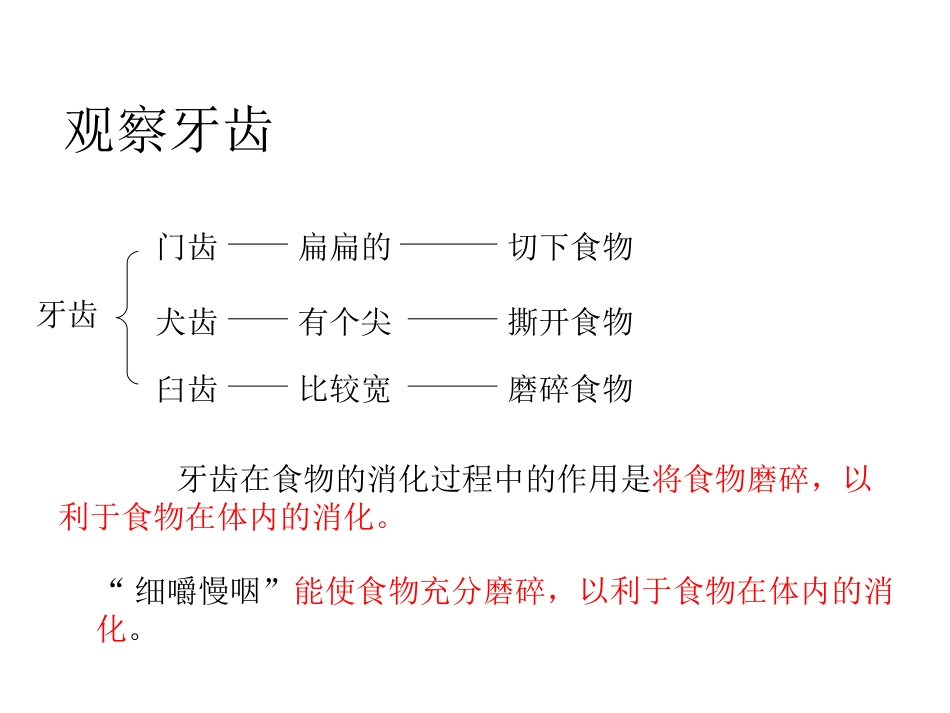 食物在口腔里的变化四上_第3页