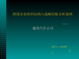 跨国企业组织结构与战略匹配分析案例