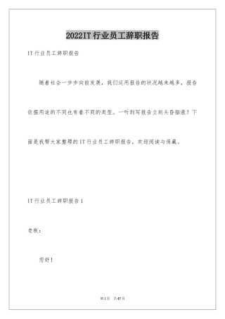 2024IT行业员工辞职报告