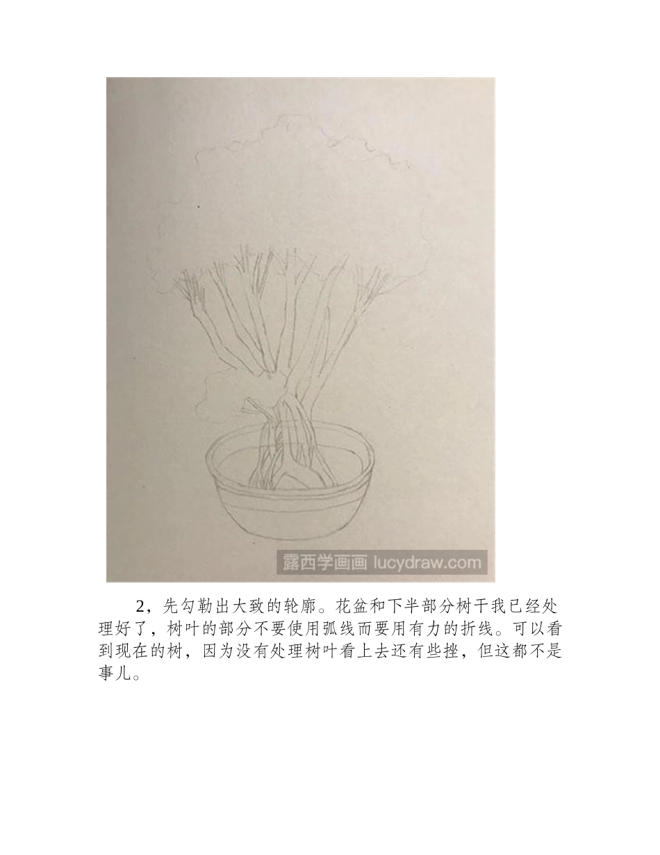 盆栽速写教程速写教程_第2页