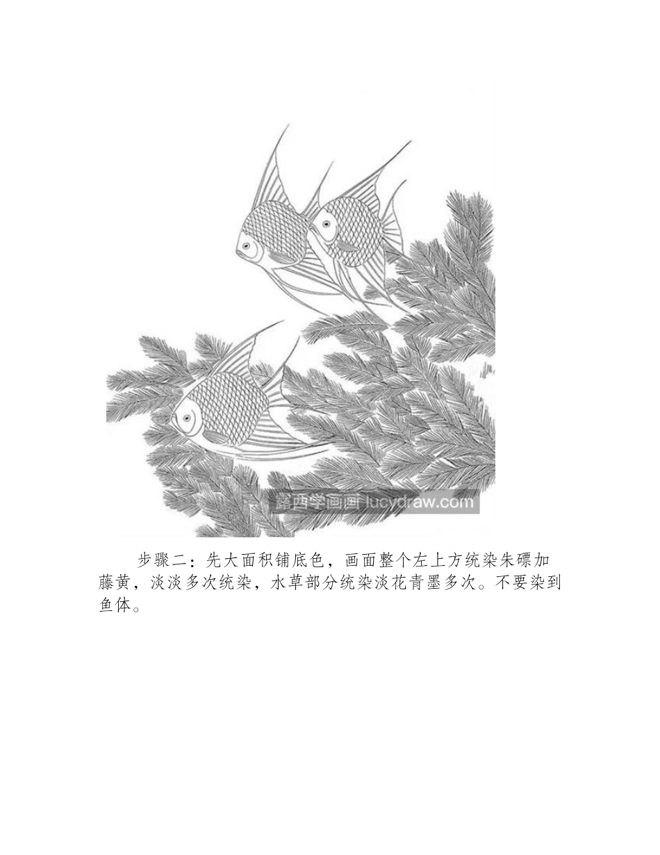 杰克天使鱼怎么画_燕鱼的工笔画步骤有哪些_工笔画教程_第2页