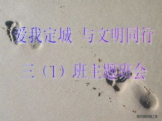 与文明同行主题班会