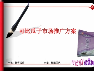 可比瓜子市场推广