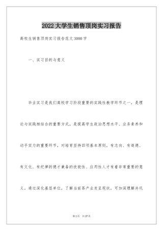 2024大学生销售顶岗实习报告