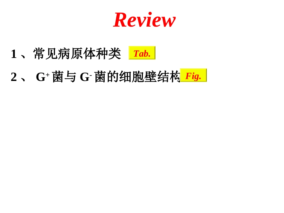 概述、合成抗菌药_第1页