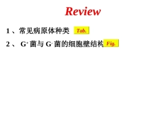概述、合成抗菌药