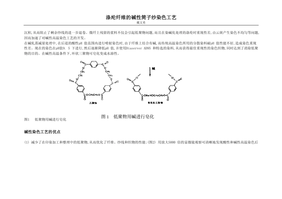 碱性染色工艺_第2页