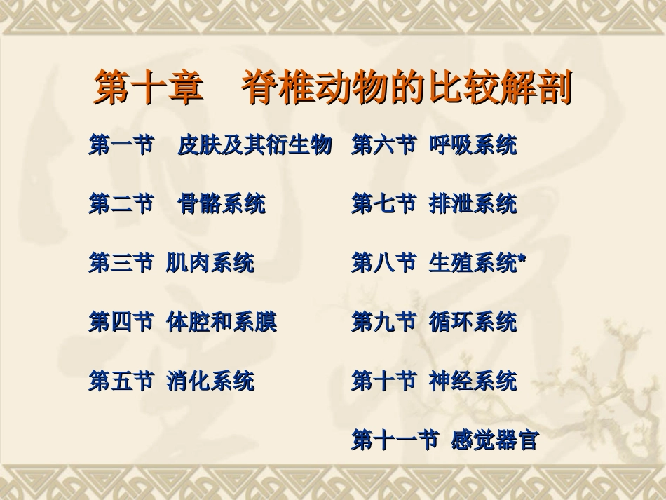 脊椎动物比较解剖_第1页