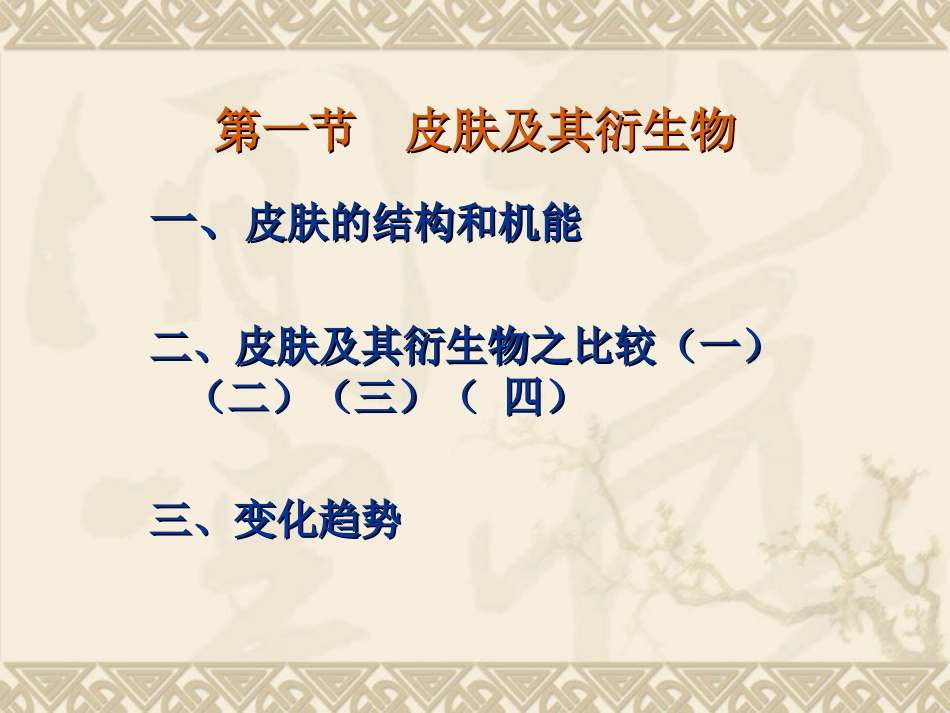 脊椎动物比较解剖_第2页