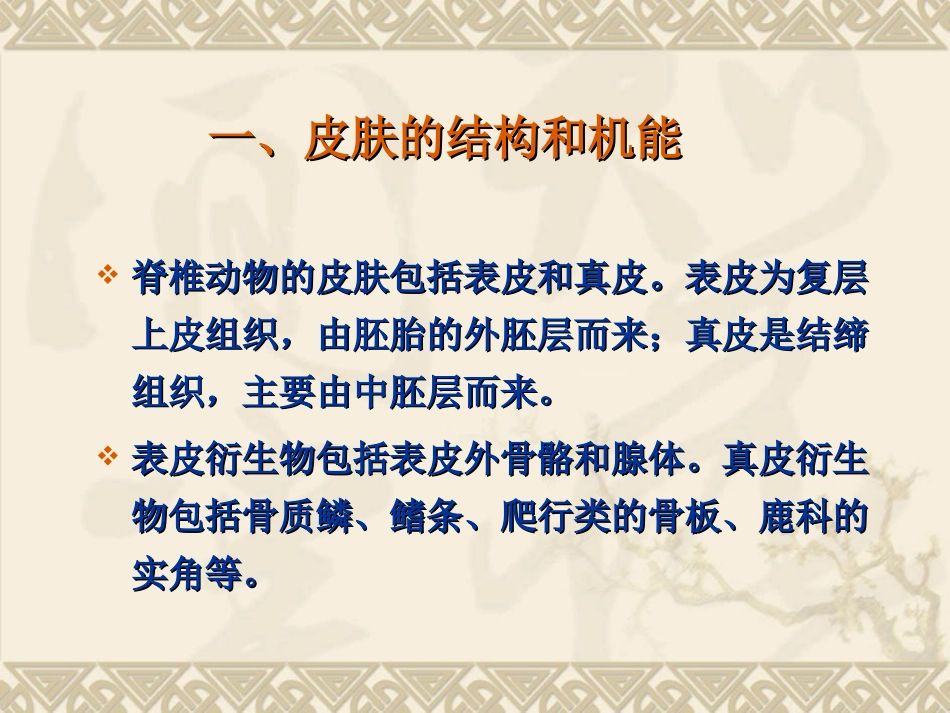 脊椎动物比较解剖_第3页