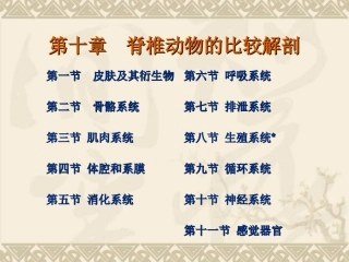 脊椎动物比较解剖