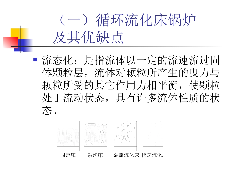 高温高压循环流化床_第3页