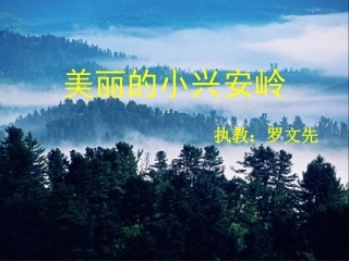 美丽的小兴安岭 