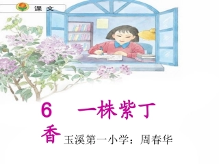 一株紫丁香 (3)