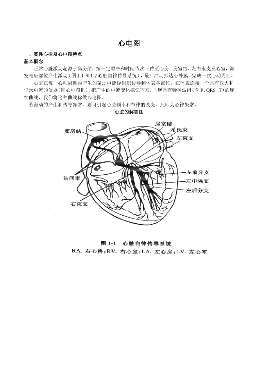 课件--窦性心律及心电图特点_第1页