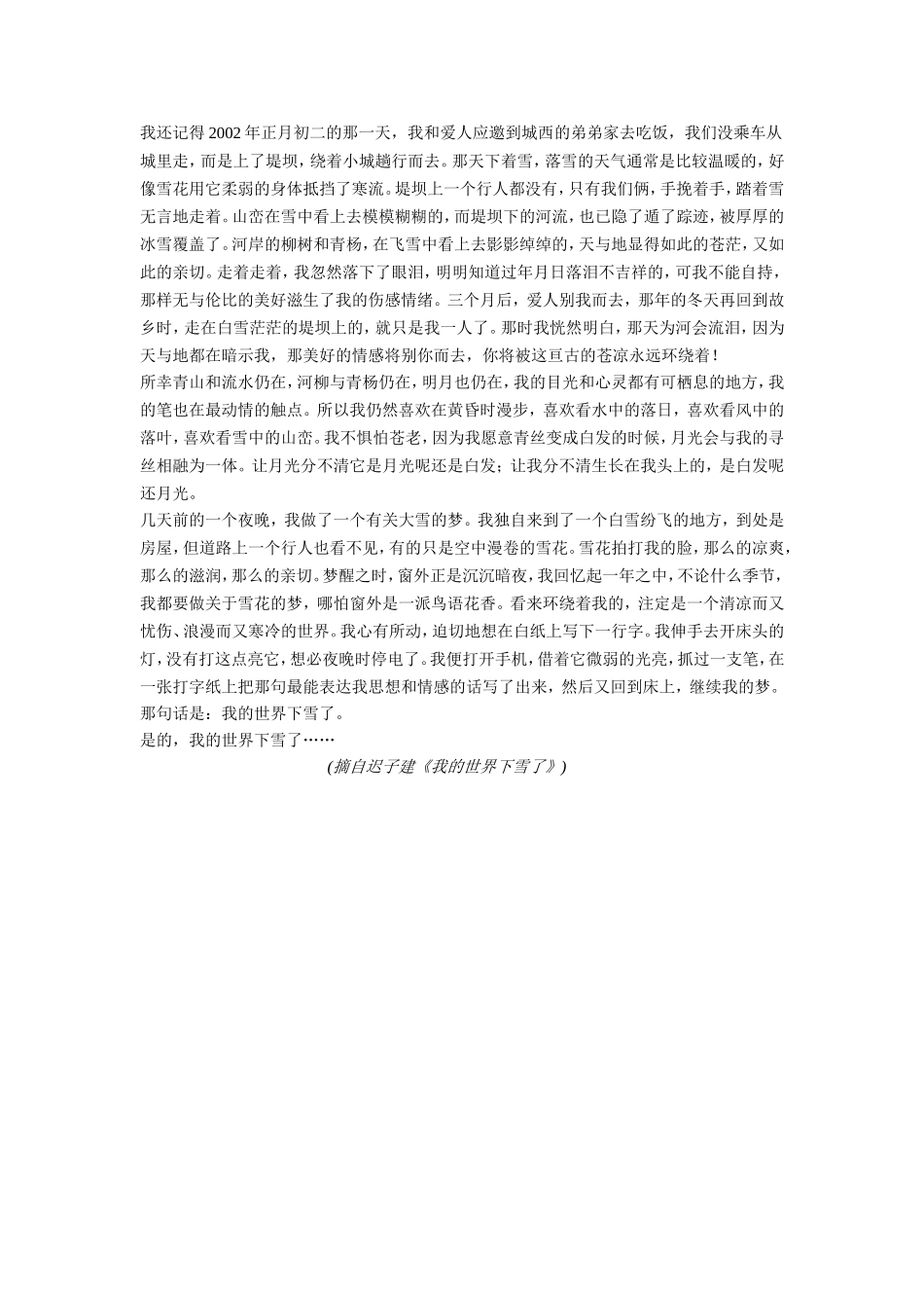 我的世界下雪了_第2页