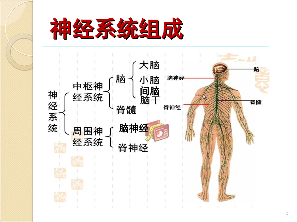 肝脏疾病并发中枢神经系统病变-河北医科大学第三医院-甄真_第3页