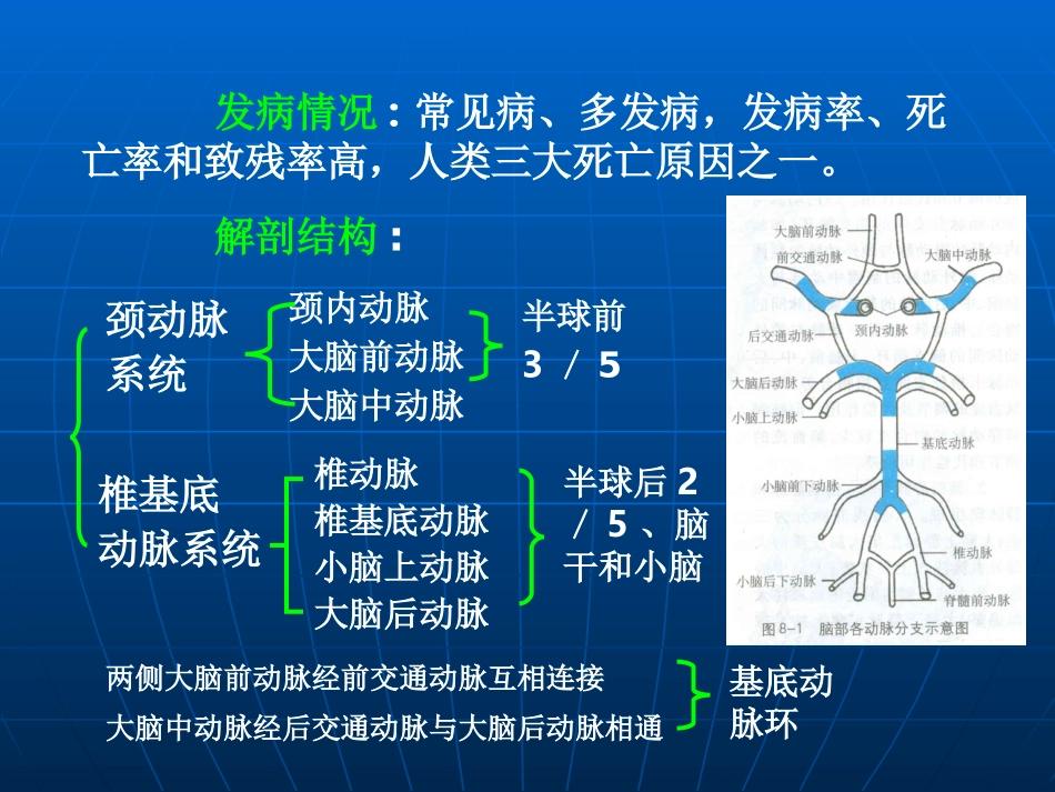 急性脑血管疾病_第2页