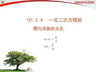 ﹡2124一元二次方程的根与系数的关系