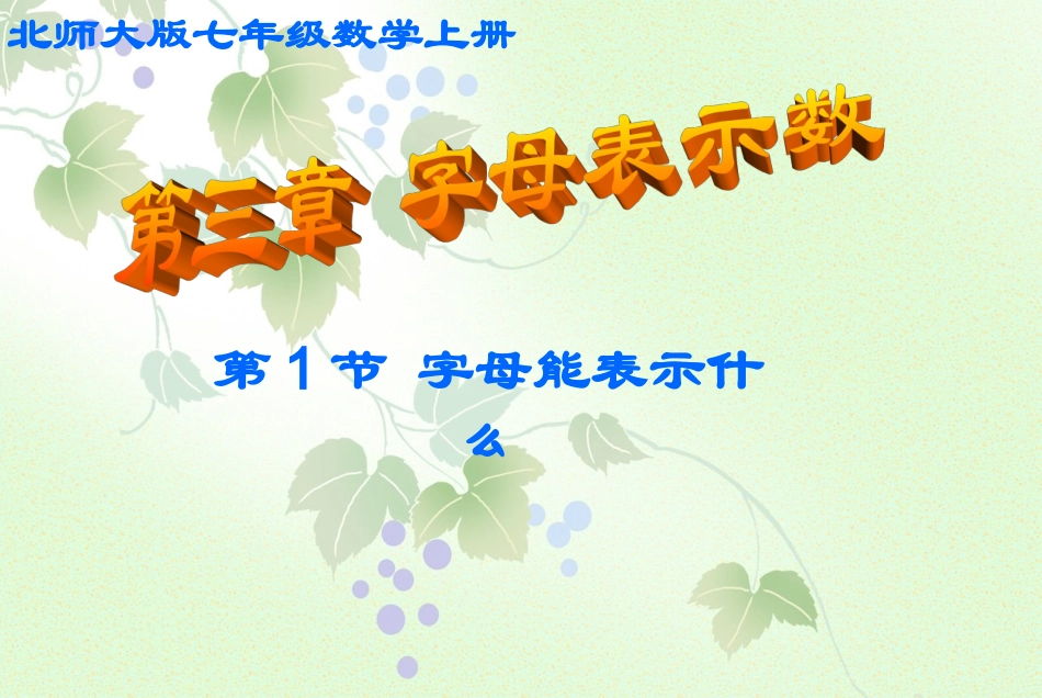 字母能表示什么演示文稿_第1页