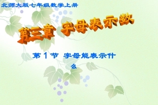 字母能表示什么演示文稿