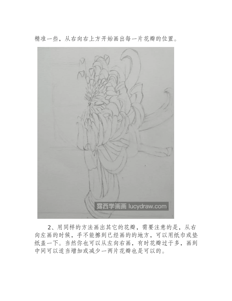 菊花的画法是什么_玫红色菊花怎么画_水彩画教程_第2页